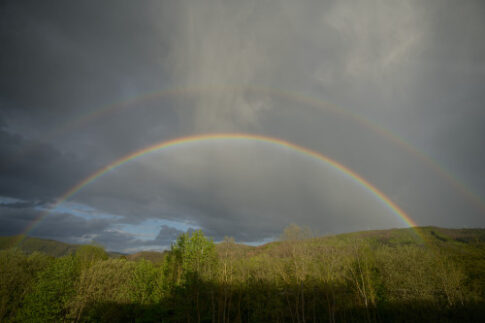 Regenbogen