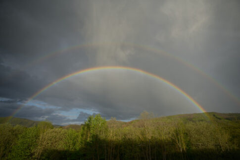 Regenbogen