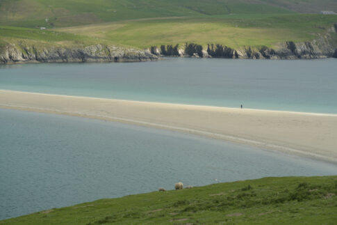 Shetland