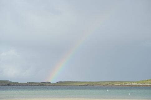 Bildergalerie Shetland 2024