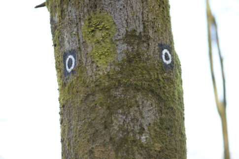 Baltrum und Gesichter-Weg 2026